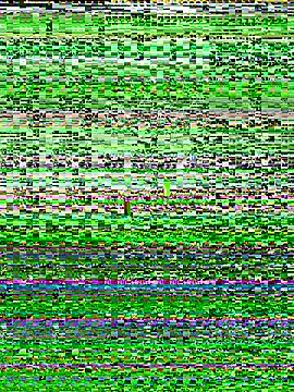 Layla_ly live sex cam