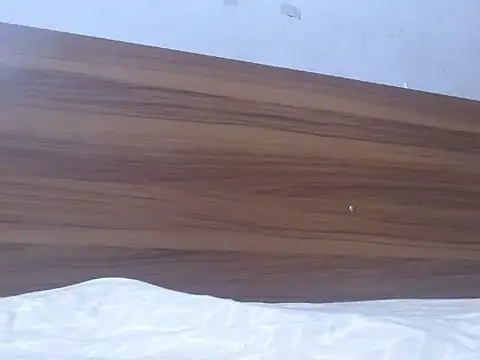 atirsa's cam snapshot