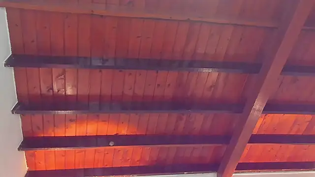 Charlotte-Smit's cam snapshot