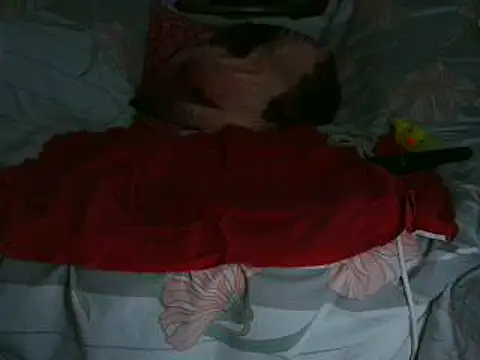 VeneRed's cam snapshot