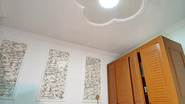 Danella_houston's cam snapshot