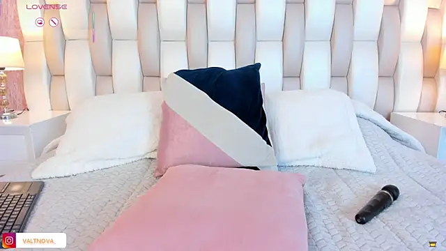 valt_'s cam snapshot