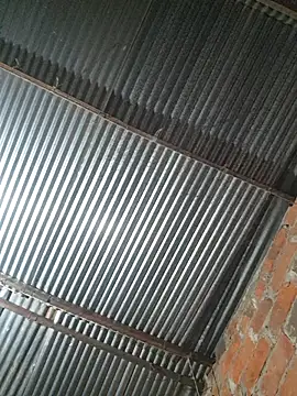 lady_and_charly's cam snapshot