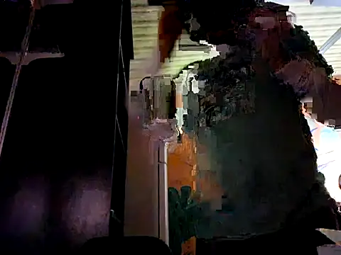 Toycockhot's cam snapshot