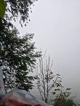 miomio-12's cam snapshot