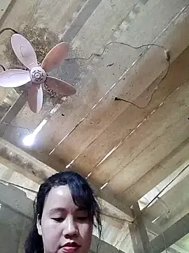 yelow-bee's cam snapshot