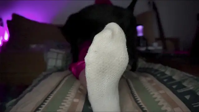 findomfeet's cam snapshot