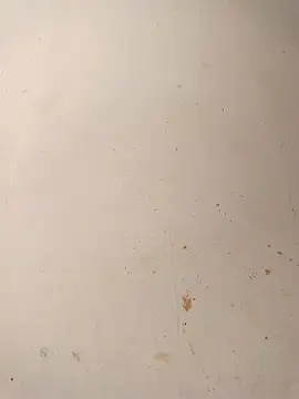 Dikchahot's cam snapshot