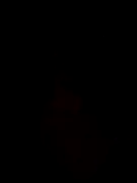 yohacriss live sex cam