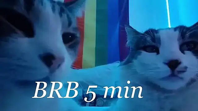 JettaHerrin live sex cam