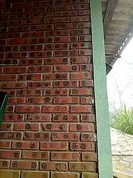 sowbibi's cam snapshot