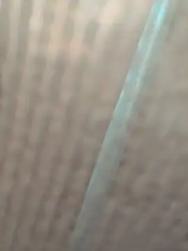 Tang-88's cam snapshot