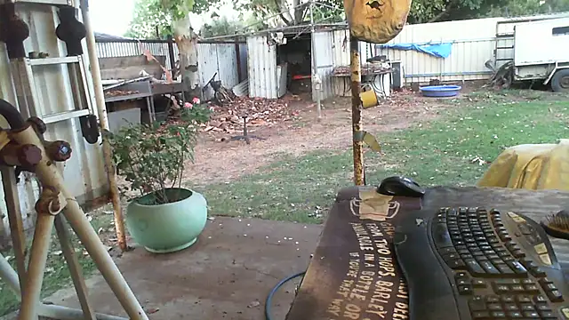 herbie010666 live sex cam