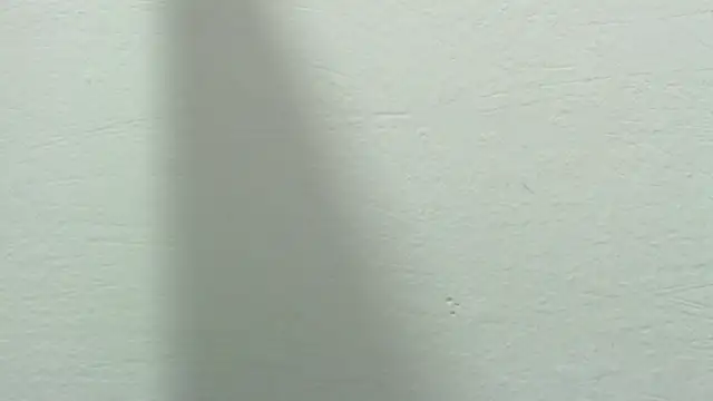 sinay024's cam snapshot