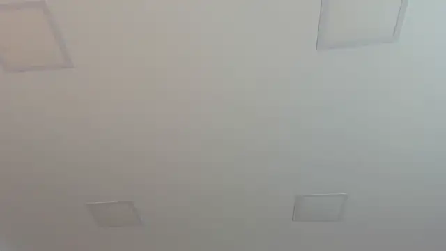 Robin_Rief live sex cam