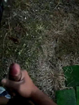 dilscar live sex cam