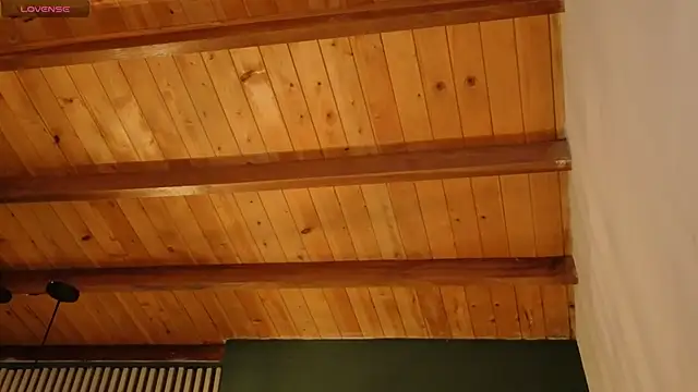 sinfultwo_'s cam snapshot