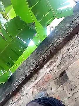 stable_23's cam snapshot