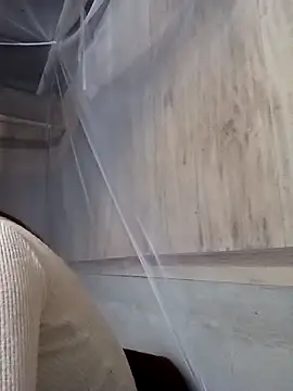 Bianly's cam snapshot