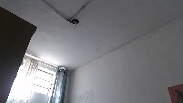 isanhaiaka's cam snapshot