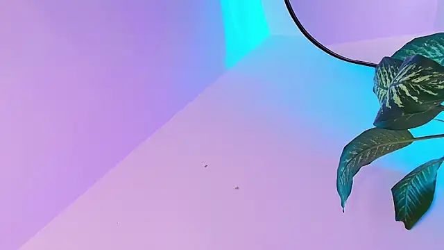 Dalila_Thoms's cam snapshot