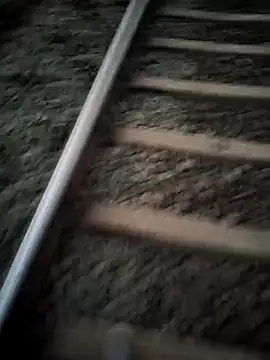 royalrohan3245's cam snapshot