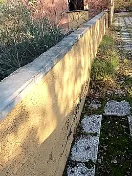 pegaso369 live sex cam