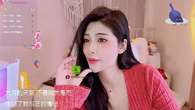 Vaidurya-Yolo's cam snapshot