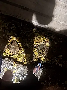 telugumodda4396's cam snapshot