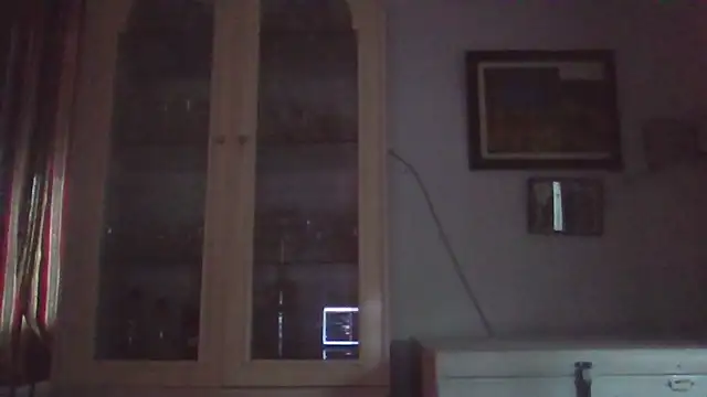 llopaco's cam snapshot