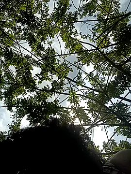 lacrespa24's cam snapshot