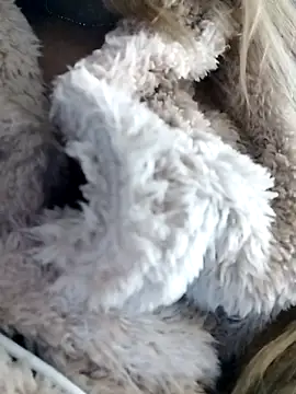 fofinhaa12's cam snapshot