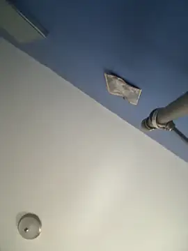 stevo170t live sex cam