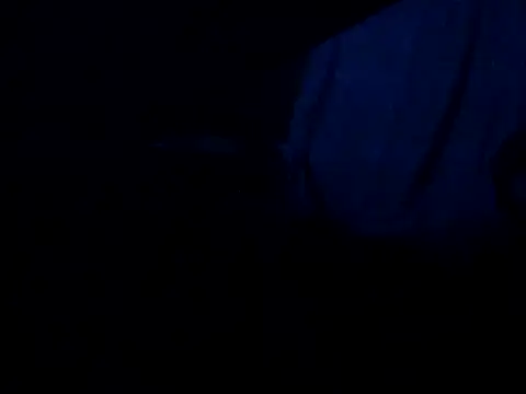 leccaleccafiga's cam snapshot