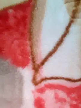 siya_rani67's cam snapshot