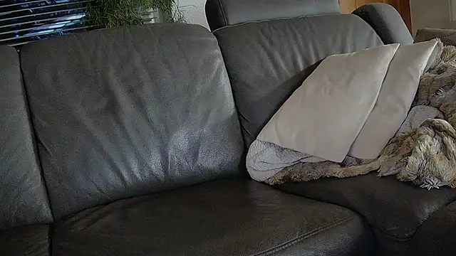 biggandybig live sex cam