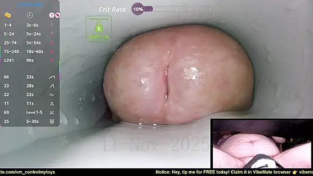 controlmytoys live sex cam