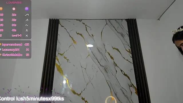 nina_vixen's cam snapshot