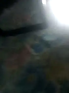 Skinnybulldozer's cam snapshot