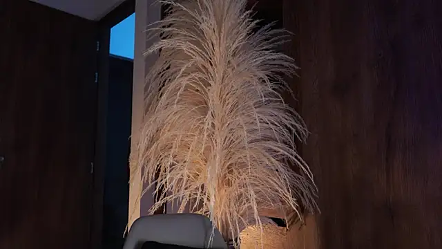 Josep_Davies live sex cam