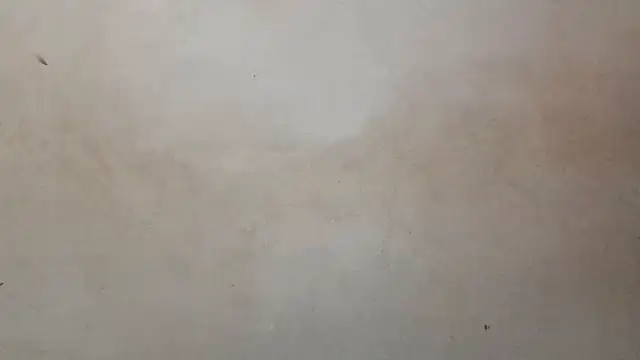 royblackbigpvt's cam snapshot