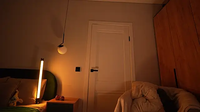 SenSage's cam snapshot