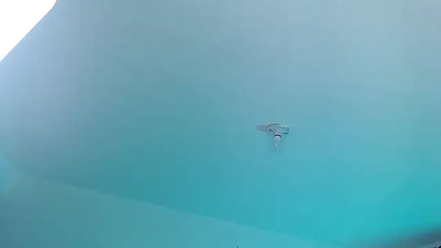 sofia__666's cam snapshot