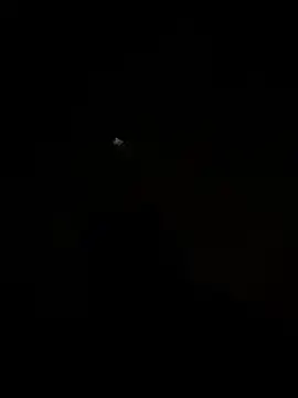 Flossy_Vettie live sex cam