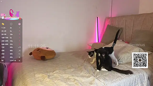 sweetlittlevenus's cam snapshot