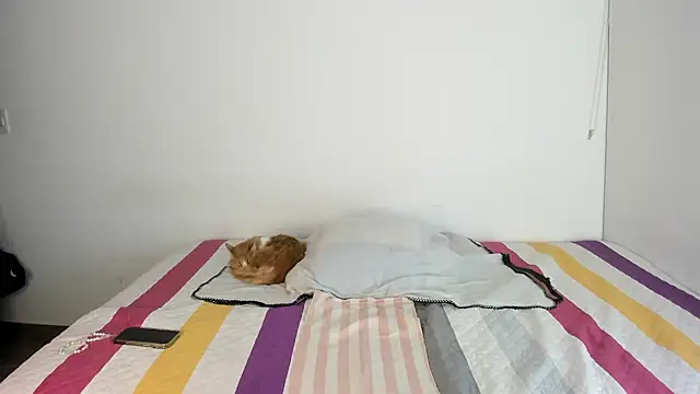 malucam06's cam snapshot