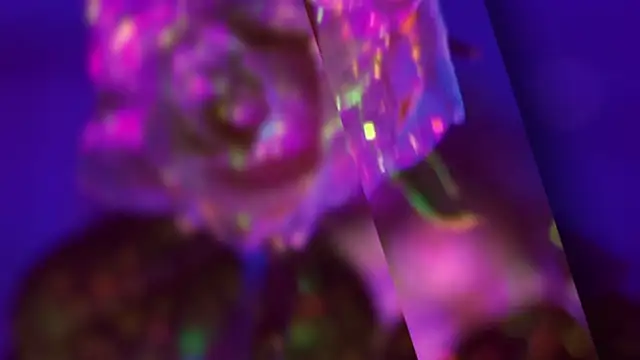 HeyBananas's cam snapshot