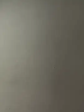 teencutee's cam snapshot