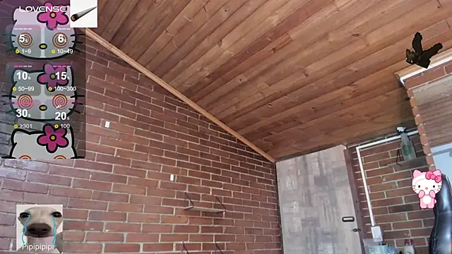 meow_mota live sex cam