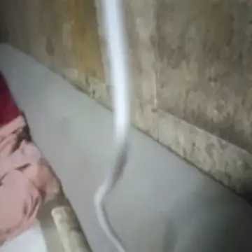 SWEETMARIO's web cam